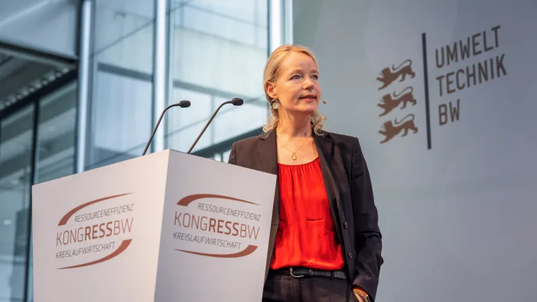 Vortrag Plenum mit Walker