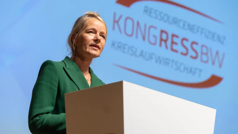 Vortrag Plenum 1 mit Walker