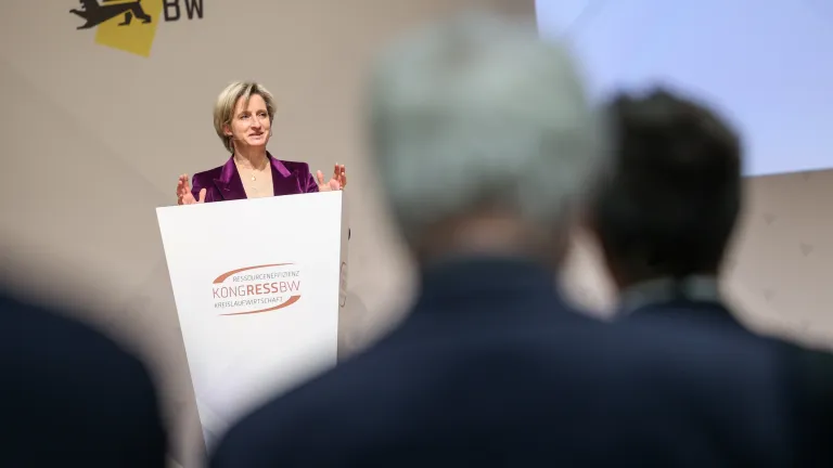 Vortrag Plenum 4 mit Hoffmeister-Kraut