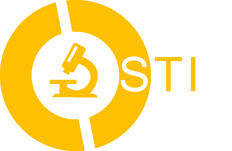 Logo STI HS Pforzheim